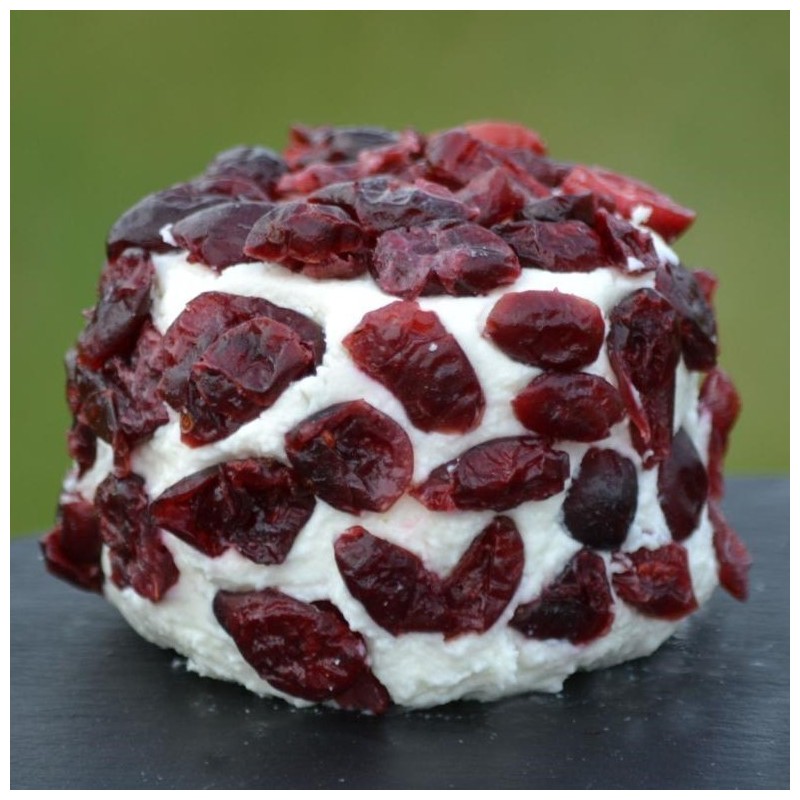 Chevre Frais Enrobé Cranberry - 10x 80g